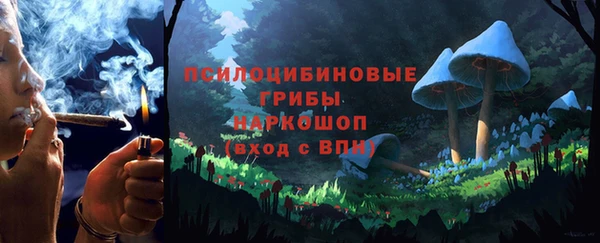 СК Абдулино