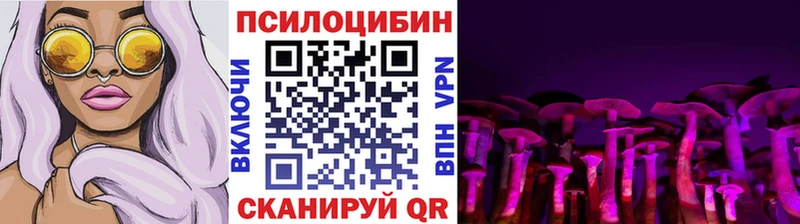 Псилоцибиновые грибы Psilocybine cubensis  Норильск 