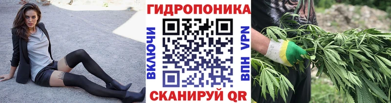 Бошки марихуана семена  Норильск 